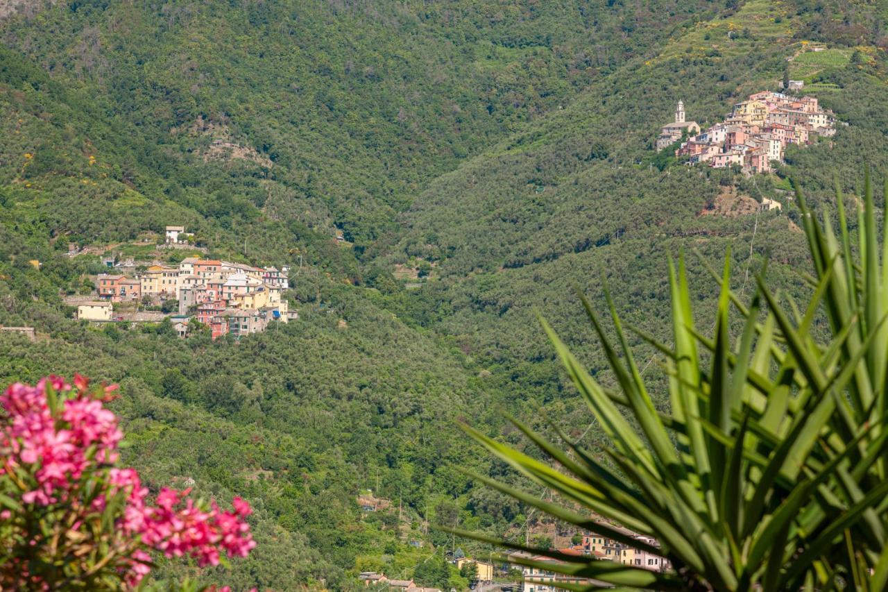Villa Dell'Erta - Levanto Montale  Luaran gambar