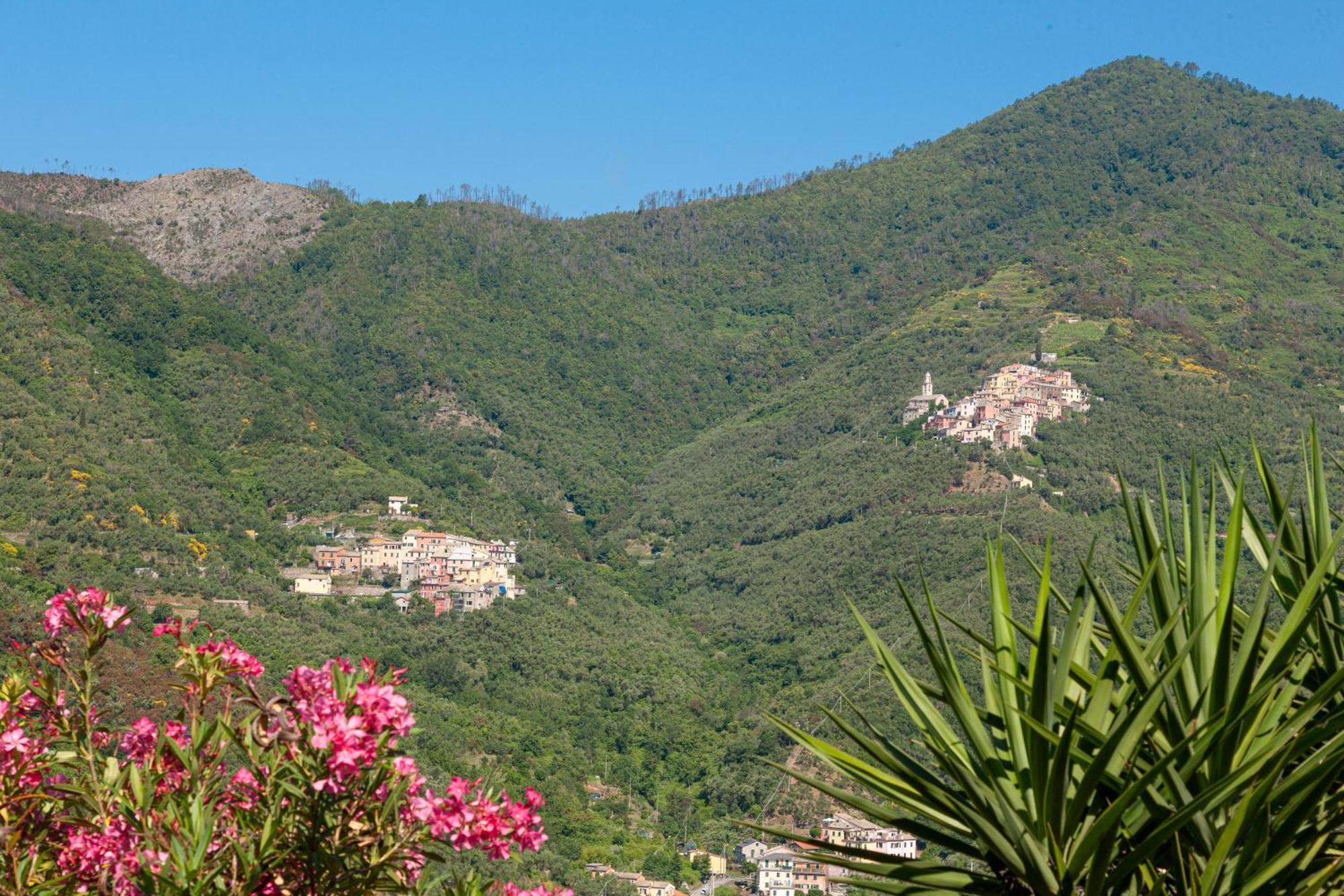 Villa Dell'Erta - Levanto Montale  Luaran gambar